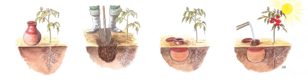 Pour économiser l'eau, la poterie artisanale Lutton fabrique des ollas en  terre cuite à planter et à enterrer - NeozOne